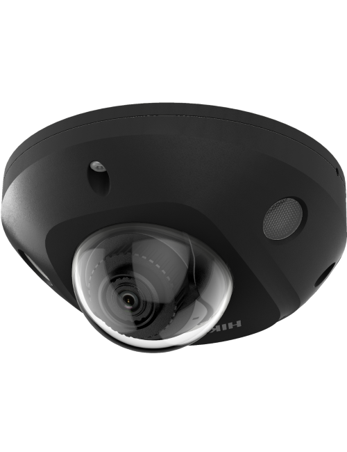 DS-2CD2543G2-IS(2.8MM)(BLACK)