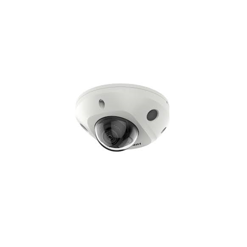DS-2CD2543G2-IWS(4MM)